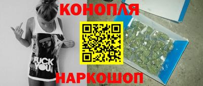 прущие грибы Мариинск