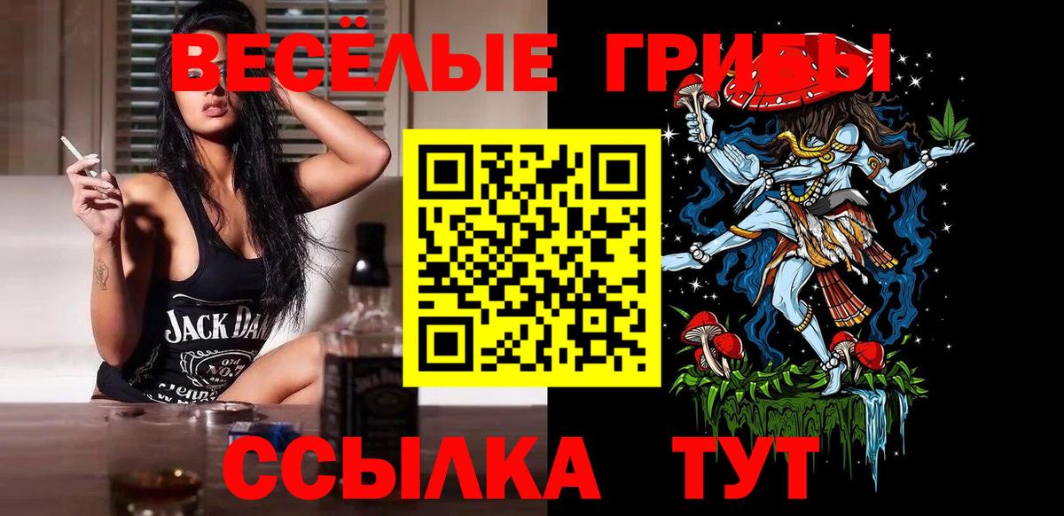 Галлюциногенные грибы MAGIC MUSHROOMS  Псилоцибиновые грибы мицелий  Славянск-на-Кубани  Вход с VPN 